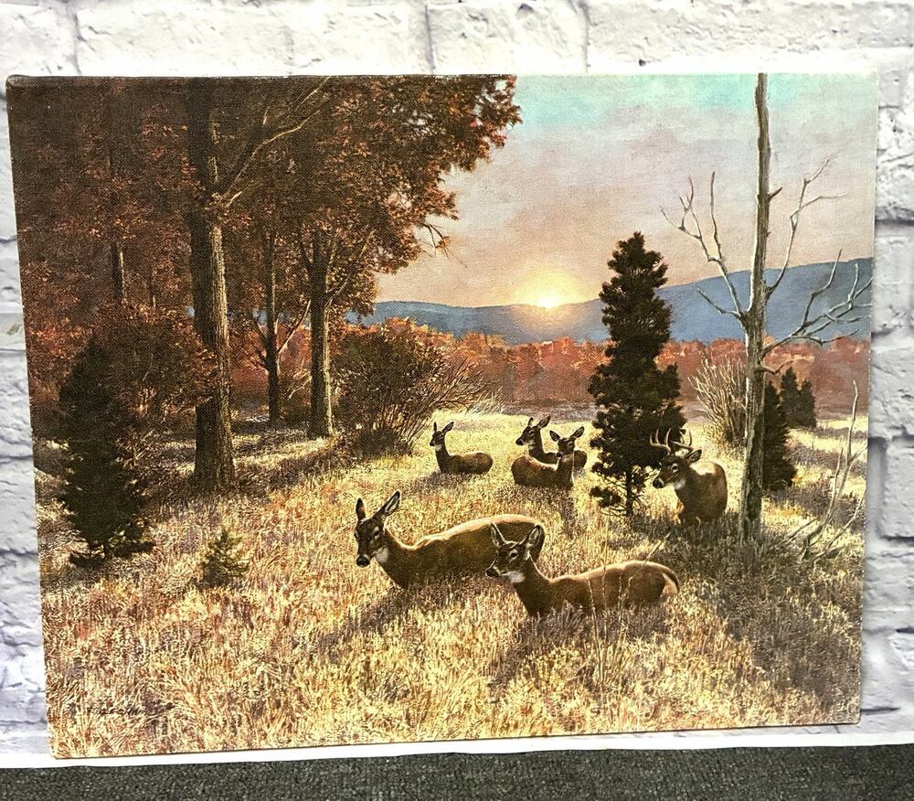 Vintage Deer Wildlife Canvas Print 16x20 Autumn Woodland Buck Doe Rustic Decor